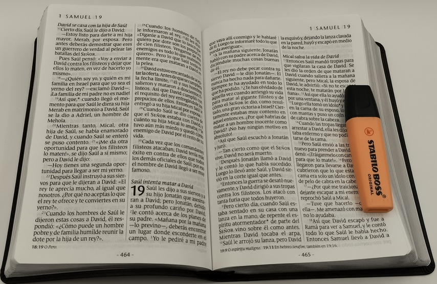 Biblia NTV tamaño manual letra grande i/piel negro con índice