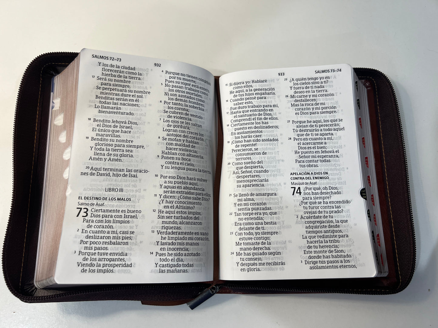 Biblia Letra Grande Tamano Personal con Referencias RVR 1960