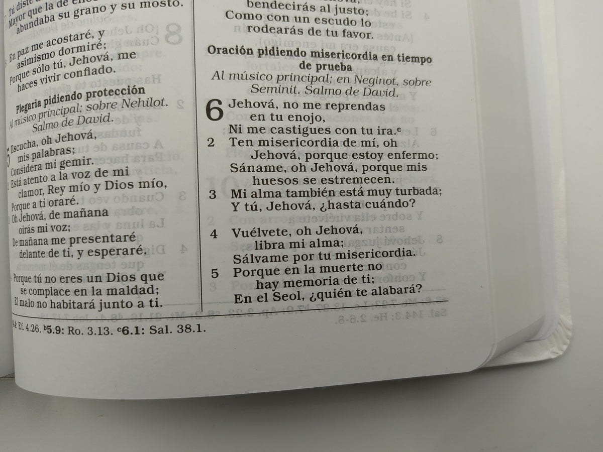 Biblia RVR60 i/piel Blanco