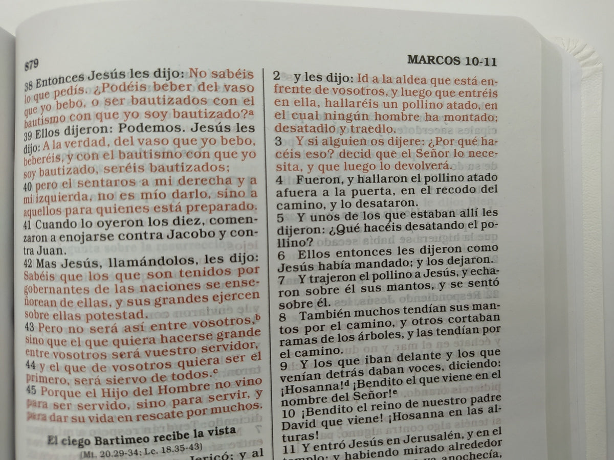 Biblia RVR60 i/piel Blanco