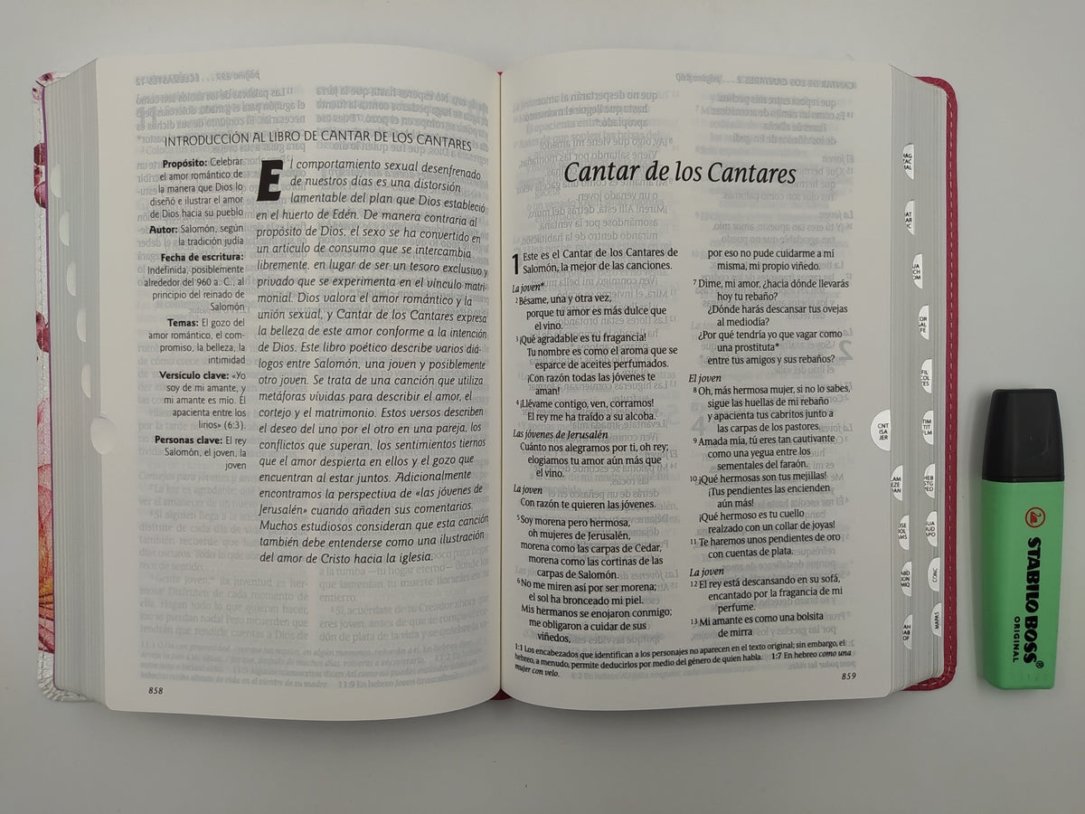 Santa Biblia NTV, Edición personal, letra grande (Letra Roja