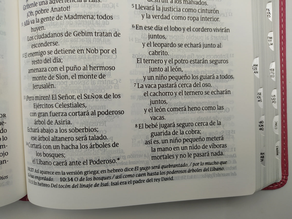 Santa Biblia NTV, Edición personal, letra grande (Letra Roja