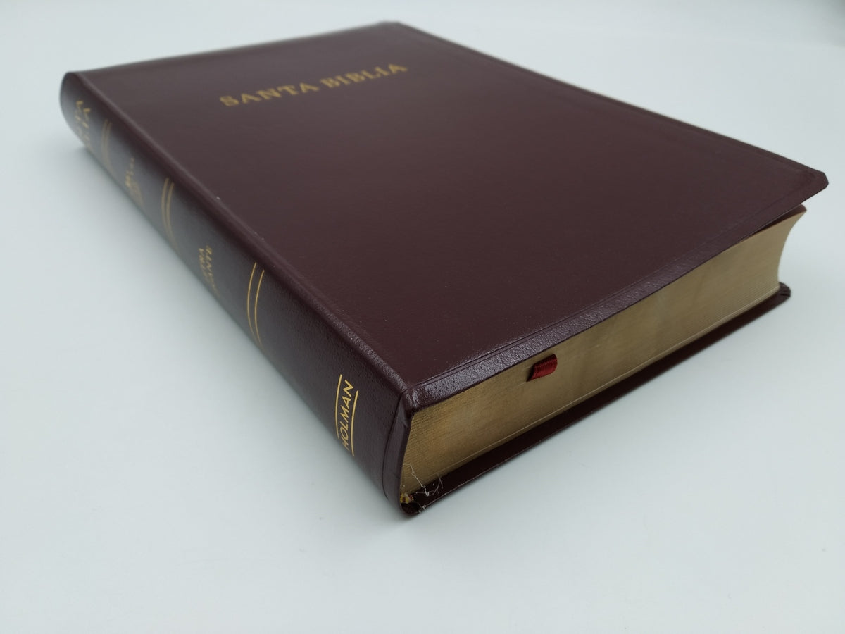 Biblia RVR60 Letra Gigante con Referencias vino imitación piel