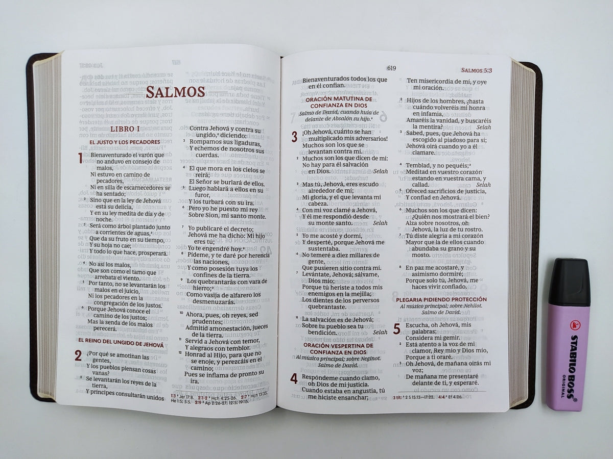 Biblia RVR60 letra grande i/piel café