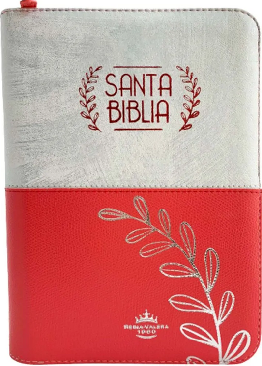 BIBLIA REINA VALERA 1960, ROSADA CON PLATEADO