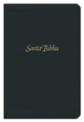 Biblia NTV Edición personal letra grande i/piel negro