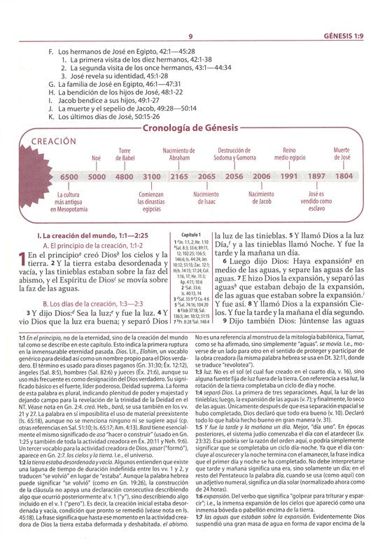 Biblia de estudio Ryrie ampliada RVR 1960, Marrón con Índice