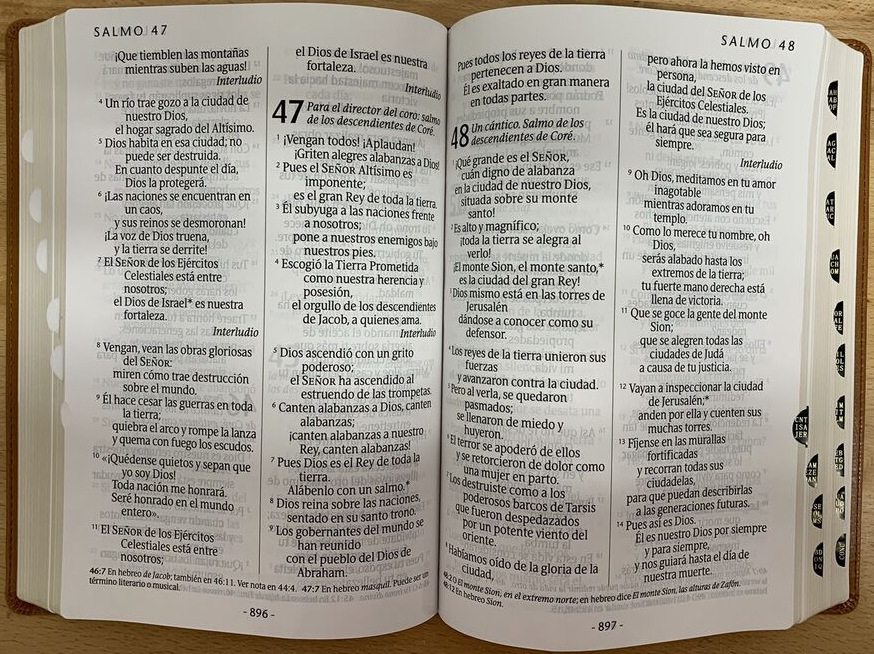 NTV Santa Biblia, letra súper gigante