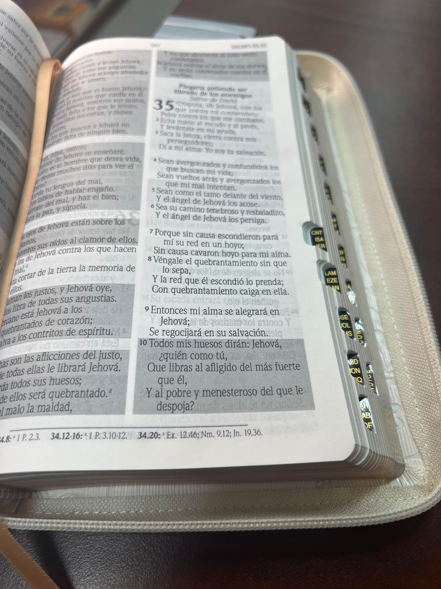 Biblia de Promesas Jesús para Todos