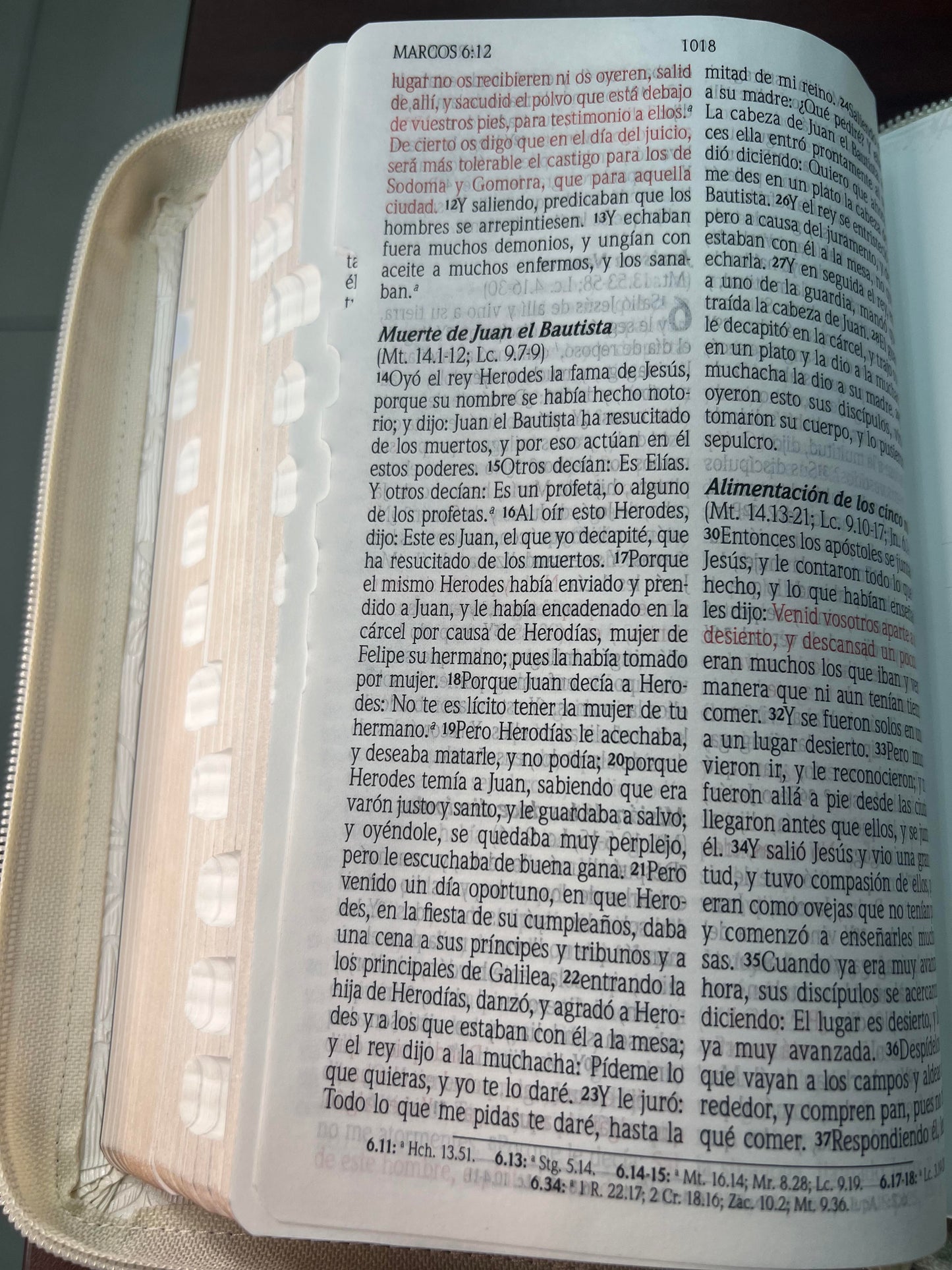 Biblia de Promesas Jesús para Todos