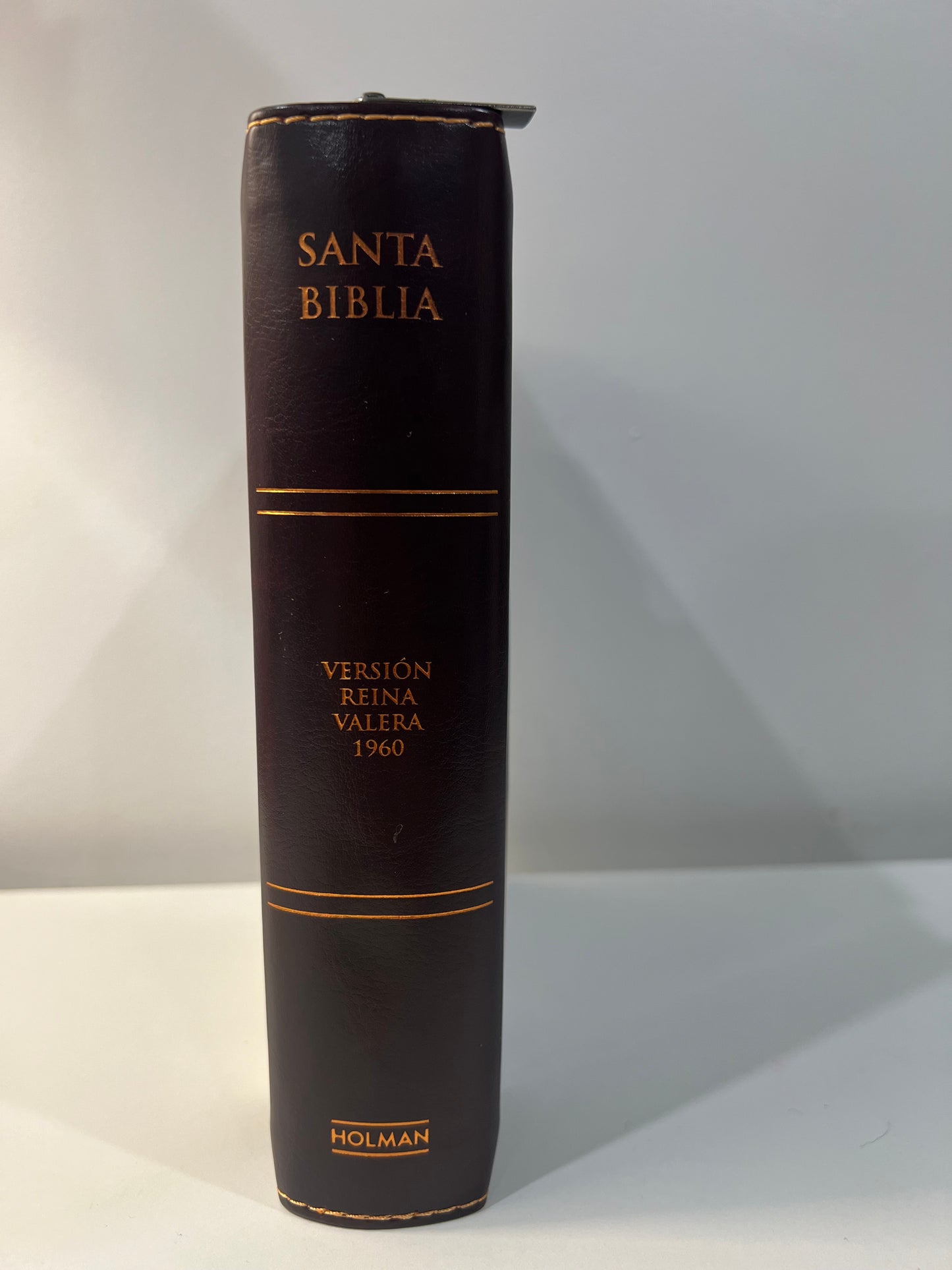 Biblia Letra Grande Tamano Personal con Referencias RVR 1960