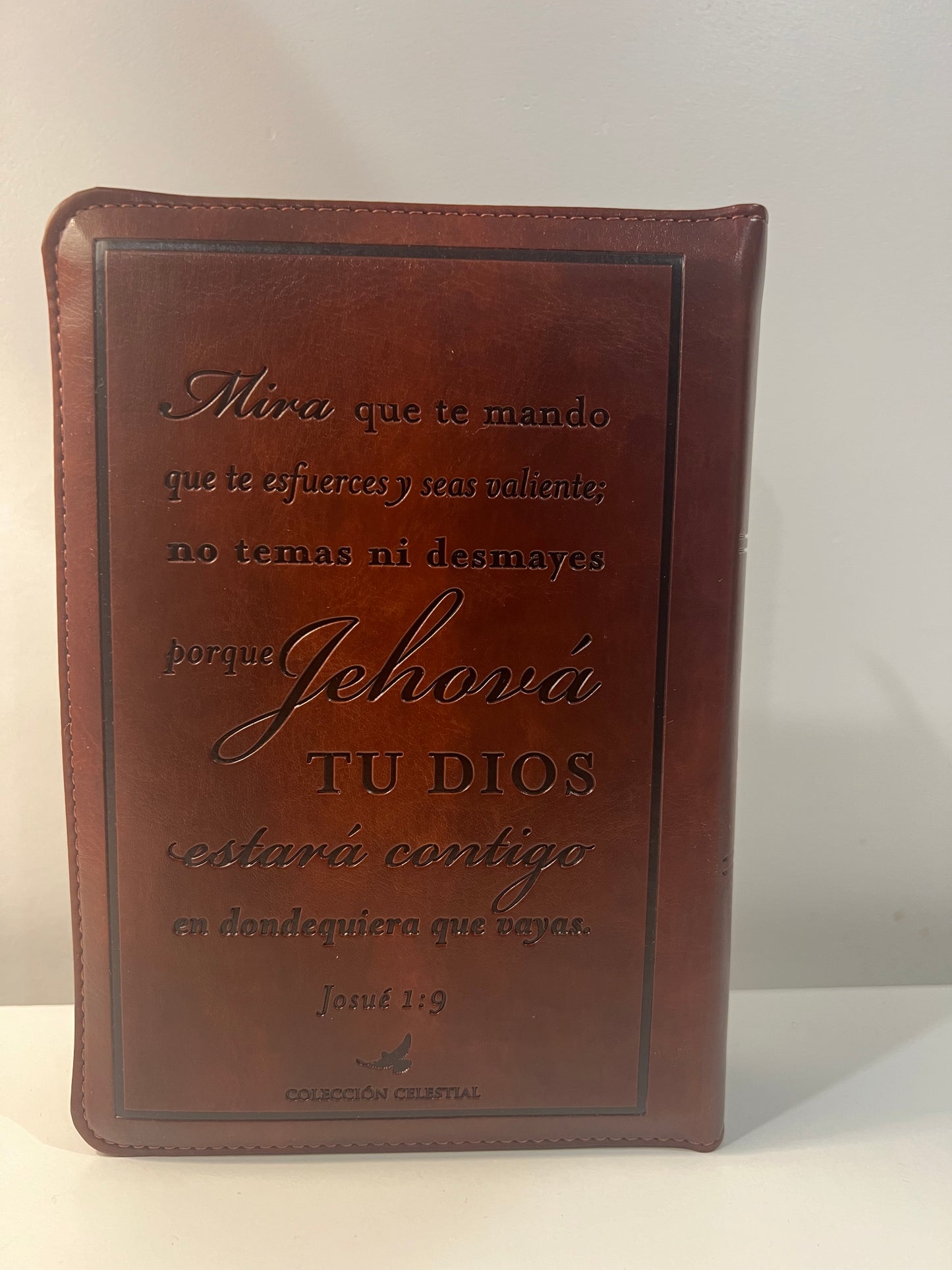 Biblia Letra Grande Tamano Personal con Referencias RVR 1960