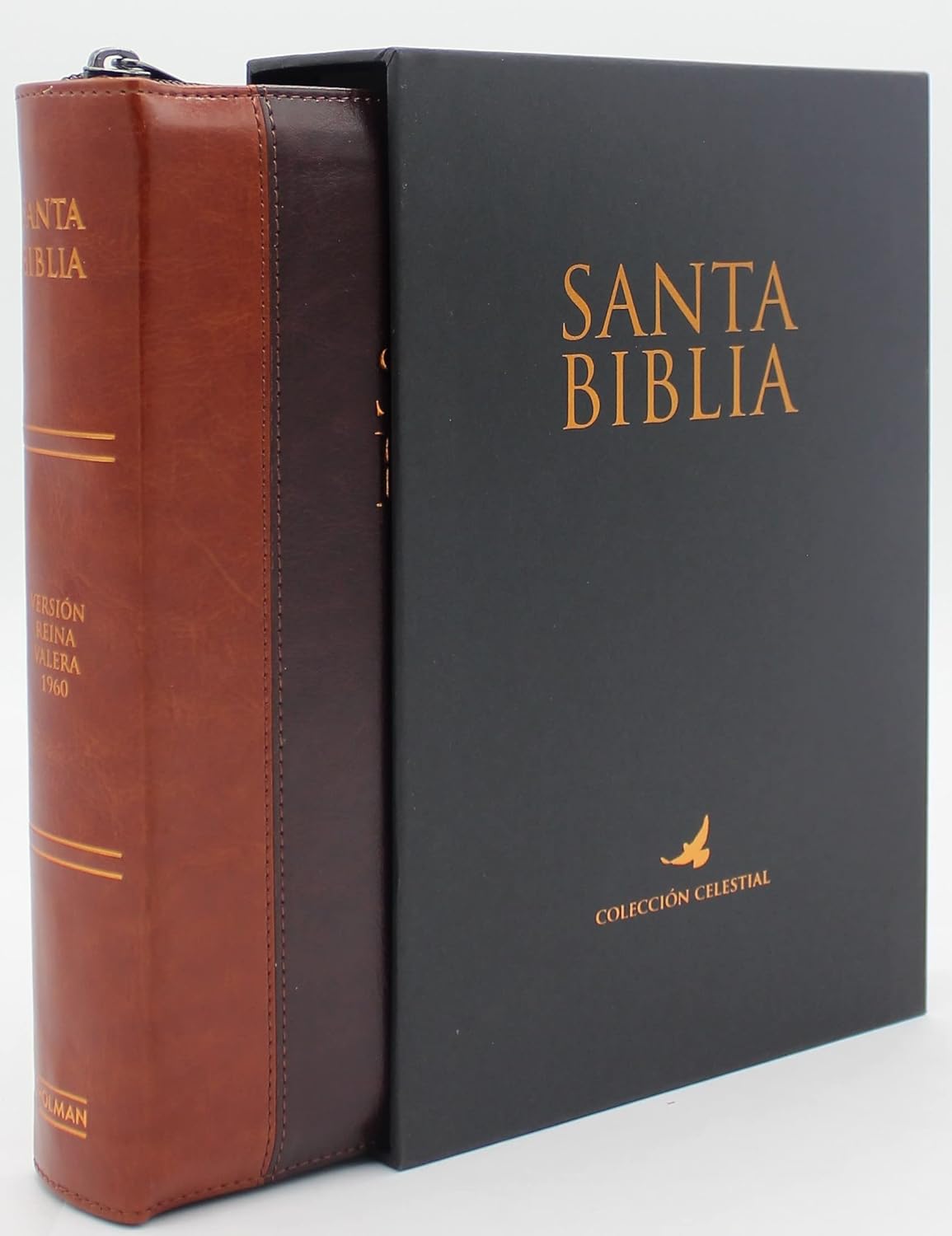 Biblia Reina Valera 1960 Letra Grande en Español