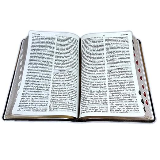 Biblia RVR 1960 Letra Grande Tamaño Manual Símil Piel Duotone Café Café con Índice con Cierre