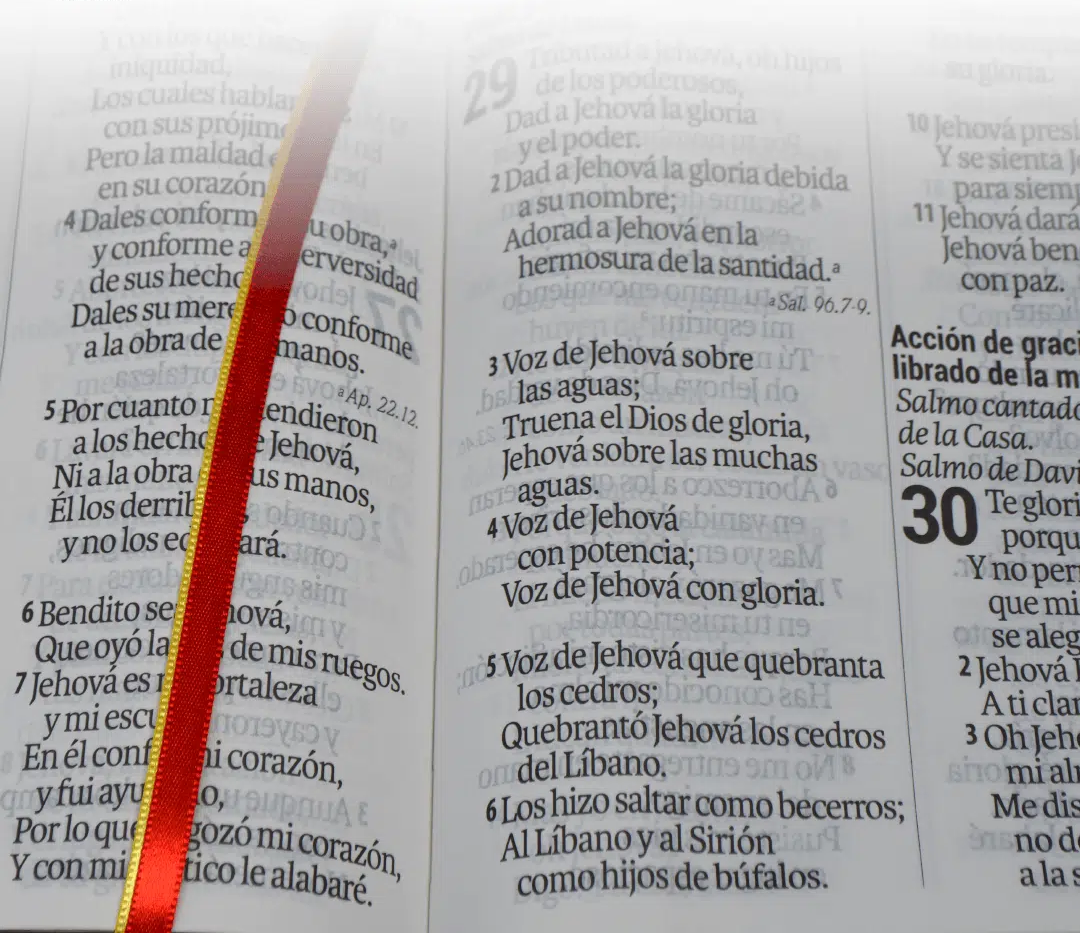 Biblia Letra Supergigante 19 puntos: RVR1960, imit. piel negro con índice y ziper