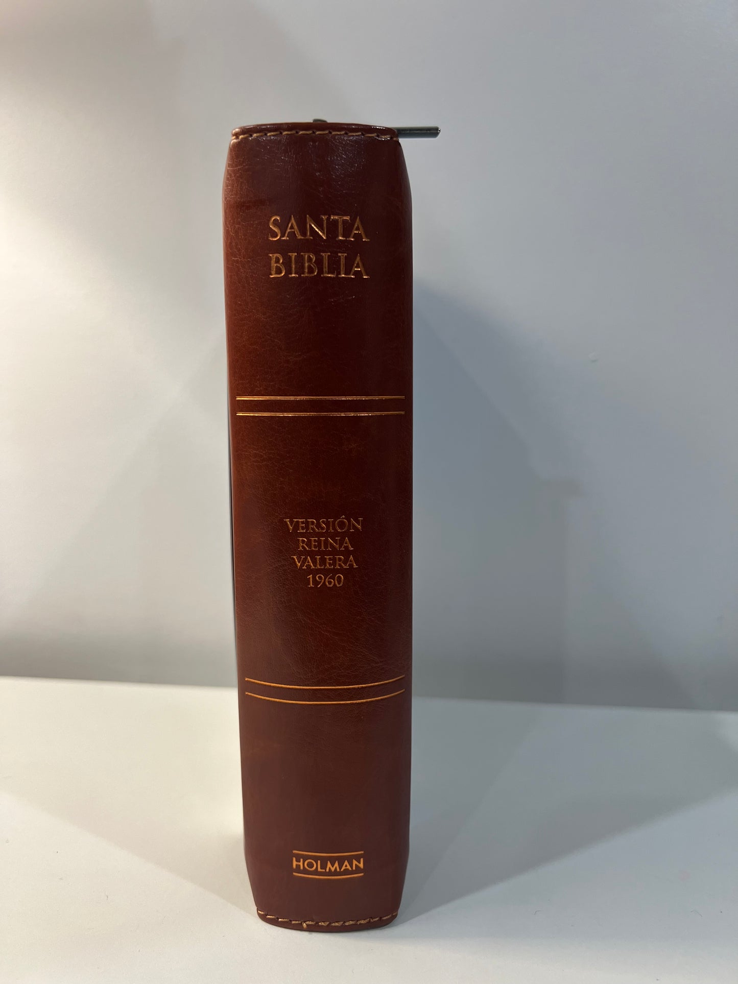 Biblia Letra Grande Tamano Personal con Referencias RVR 1960