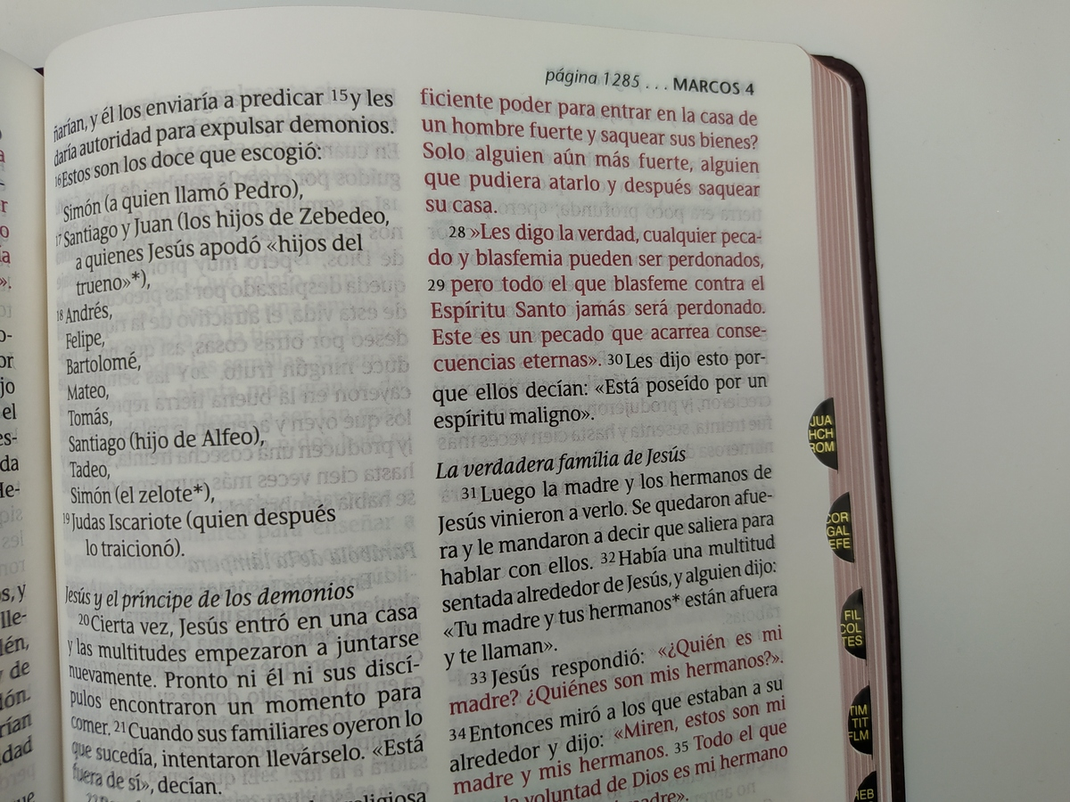 Santa Biblia NTV, Edición clásica, letra gigante