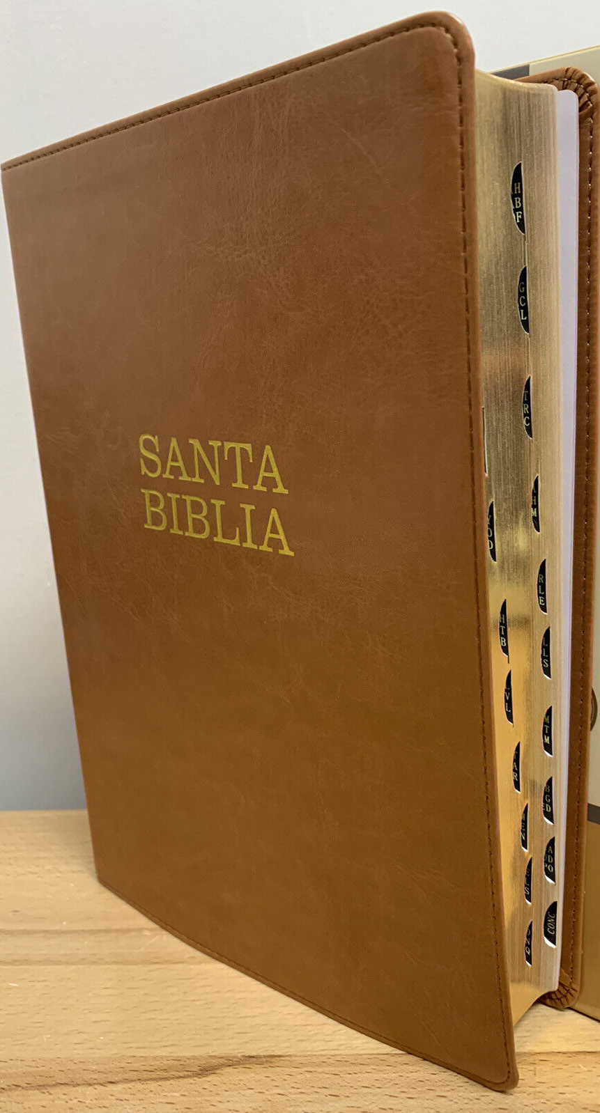 NTV Santa Biblia, letra súper gigante