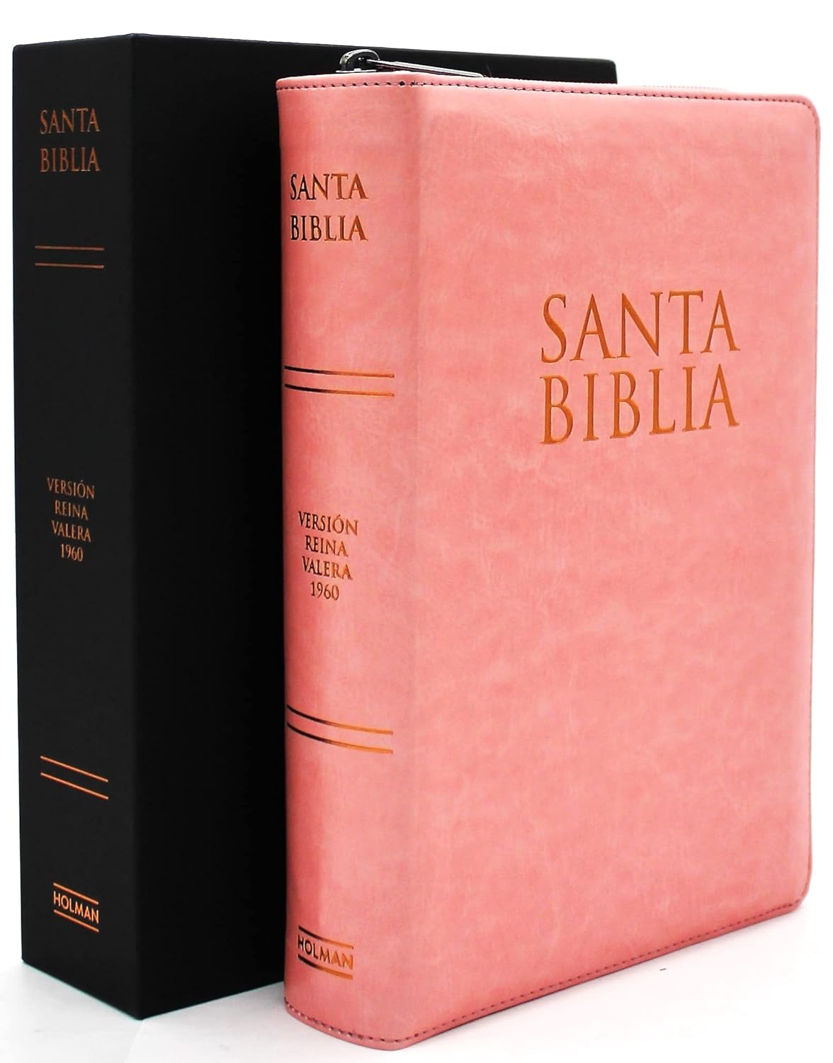 Biblia Reina Valera 1960 Letra Grande en Español