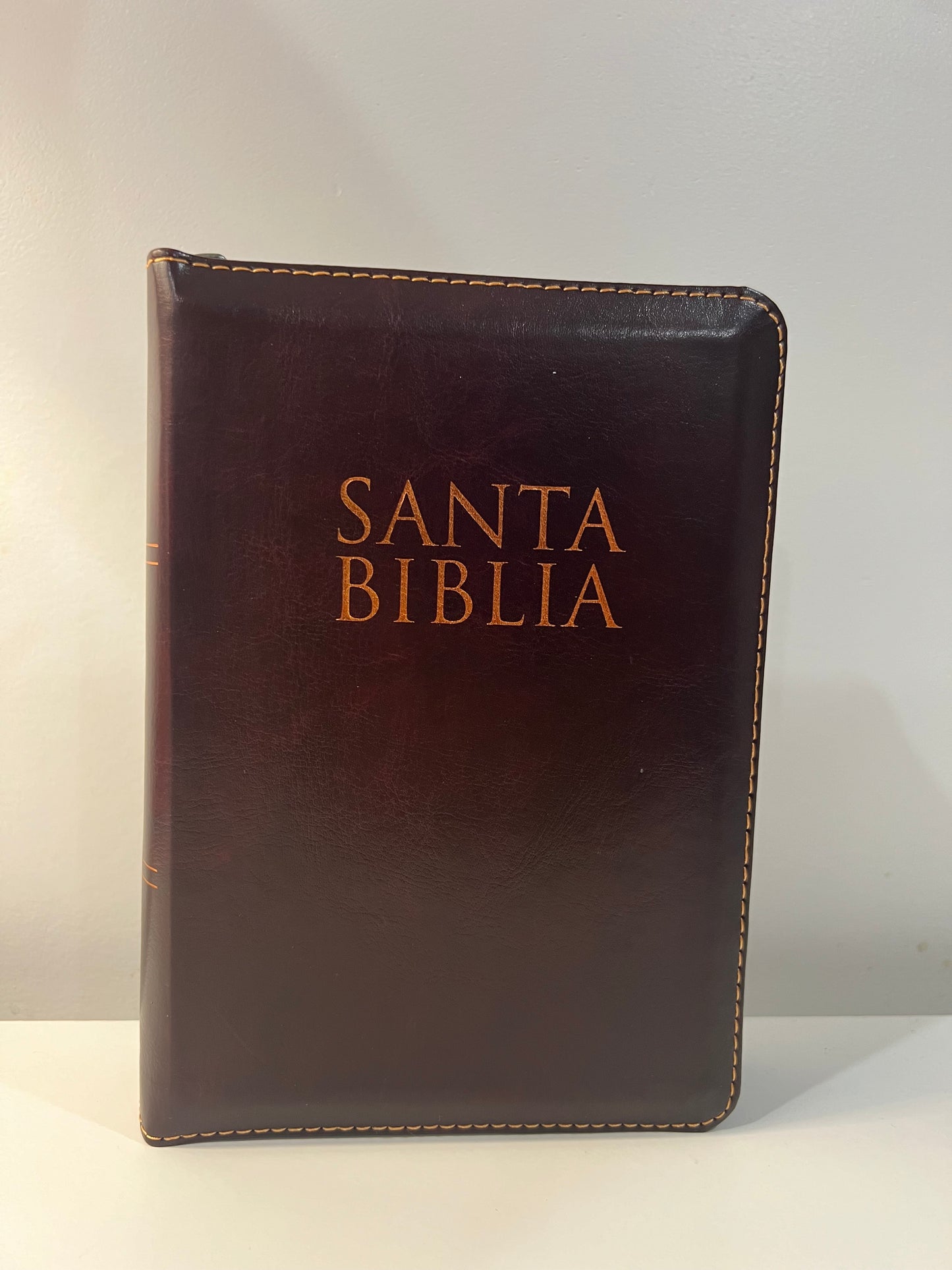 Biblia Letra Grande Tamano Personal con Referencias RVR 1960