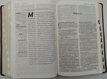 Biblia NTV de letra grande tamano manual senti piel cafe claro con indice