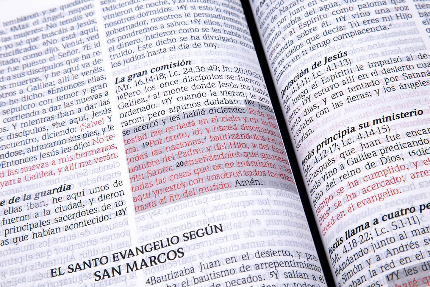 Santa Biblia de Promesas Reina-Valera 1960 / Jesús para todos / Letra Grande / Tamaño Manual / Piel especial con índice y cierre / Café