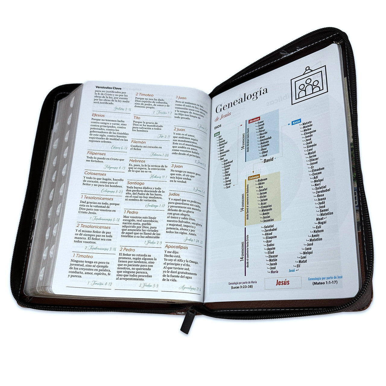 Biblia con Cierre Letra Grande 12 puntos RV1960 imit. floral marrón con índice - Yo y mi casa