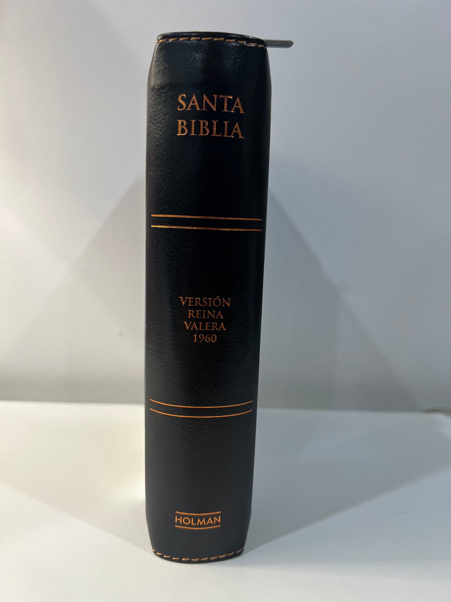 Biblia Letra Grande Tamano Personal con Referencias RVR 1960