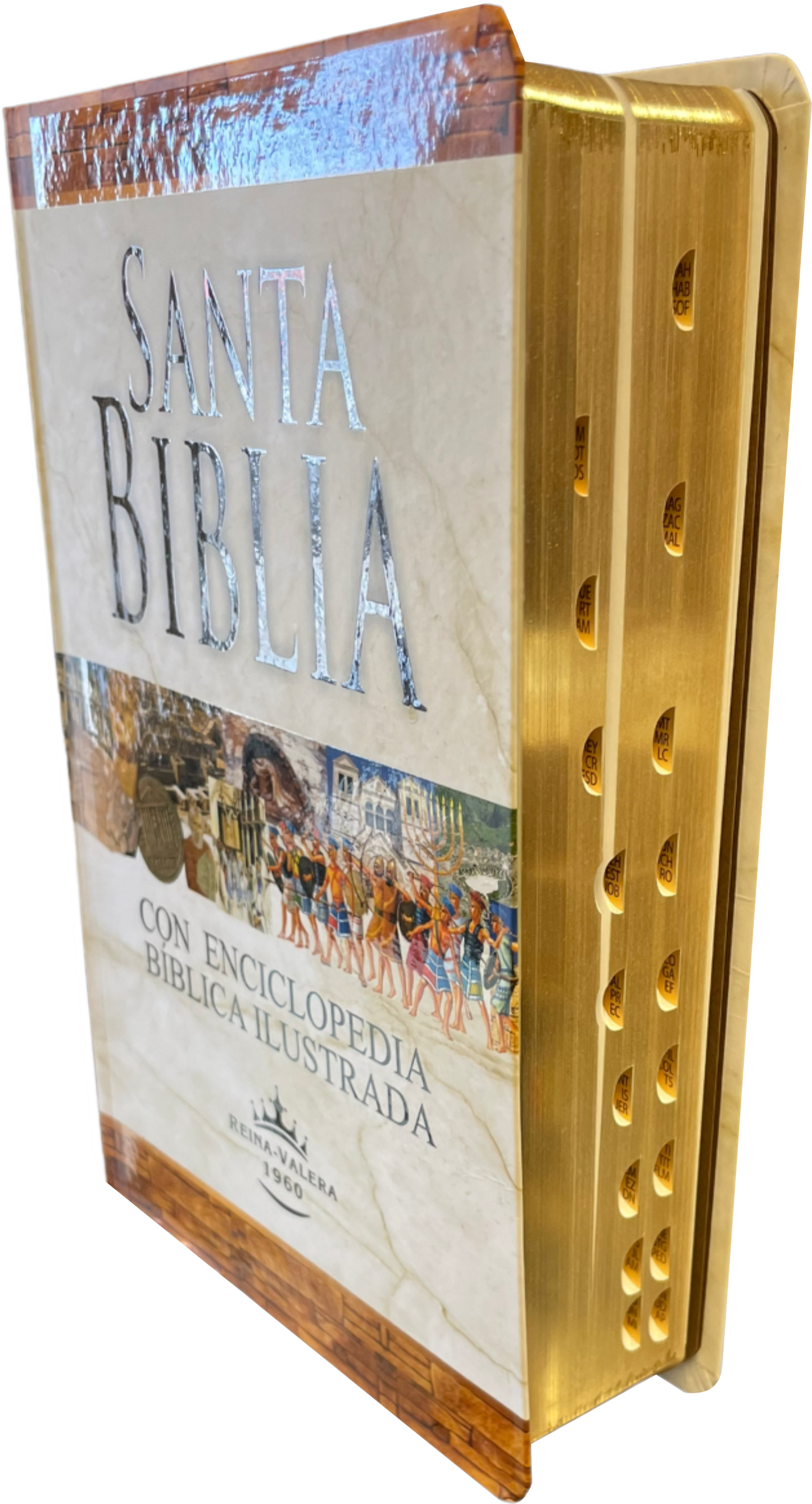 Biblia con Enciclopedia Bíblica Ilustrada Letra Grande RV1960, tapa flexible con índice