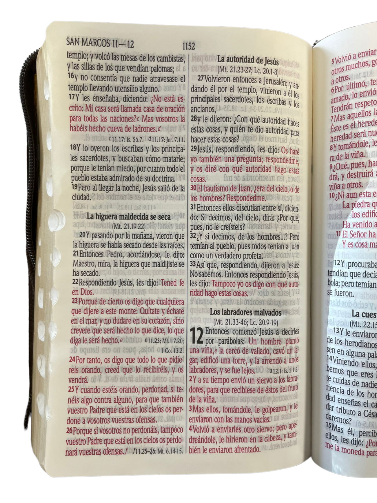 Biblia León Reina Valera 1960, Letra Grande, Concordancia Amplia Tamaño Manual, Imitación Piel Dorado con Indice