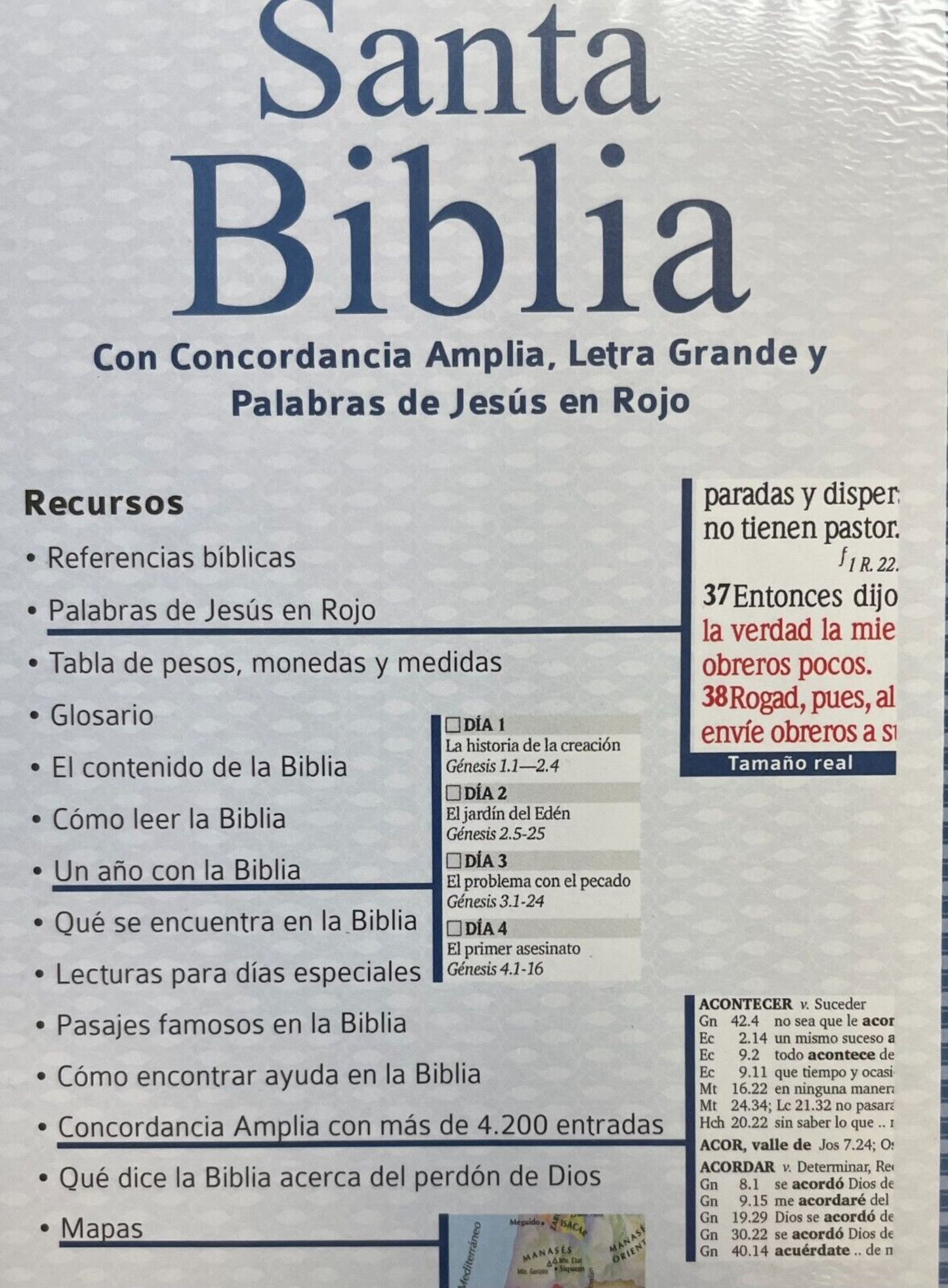 Biblia Letra Grande Concordancia Amplia RV1960, Manual Tapa Vinilo, Negro