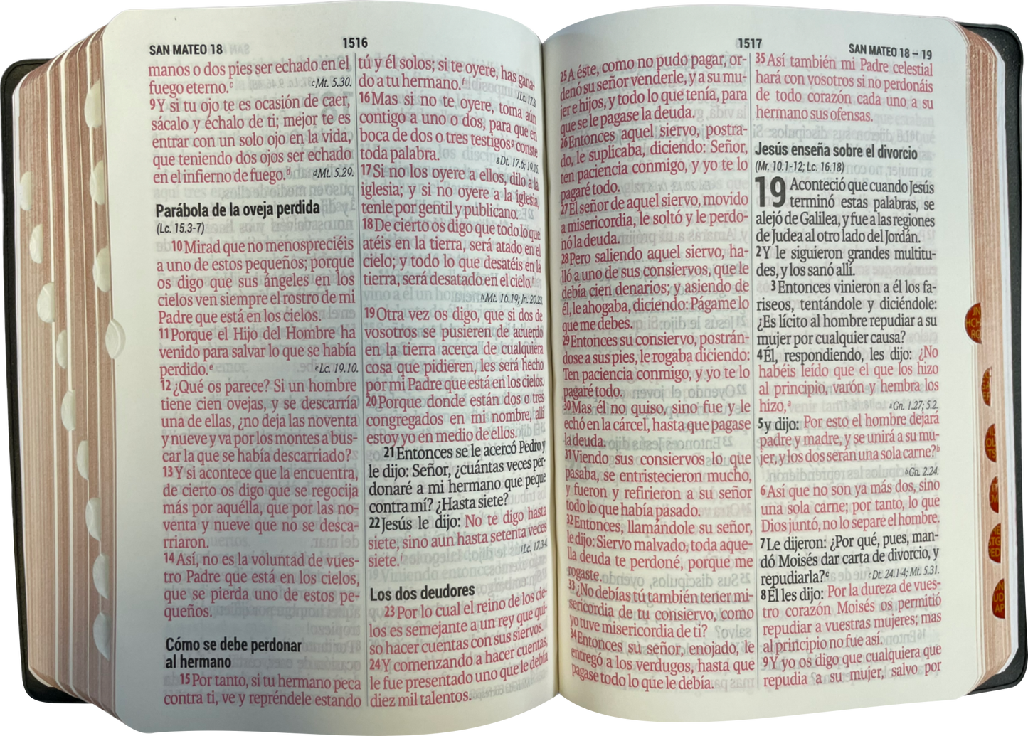 Biblia Reina Valera 1960 Letra Super Gigante 11Pt