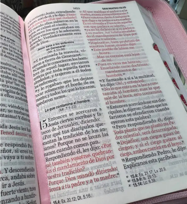 Biblia RVR60 045 LG con Índice Boho Rosa