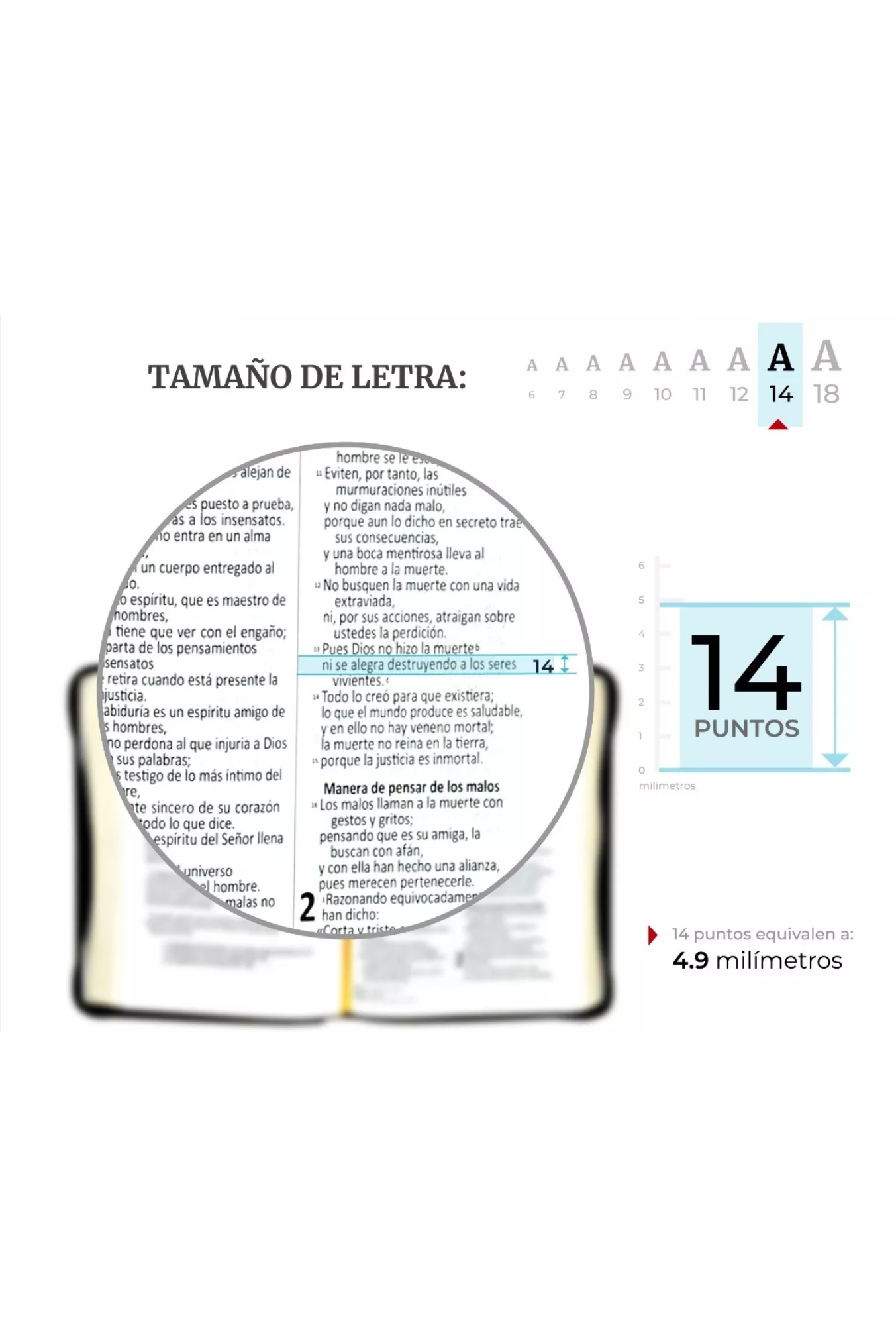 Biblia Dios Habla Hoy Imitación Piel Negro con Cierre