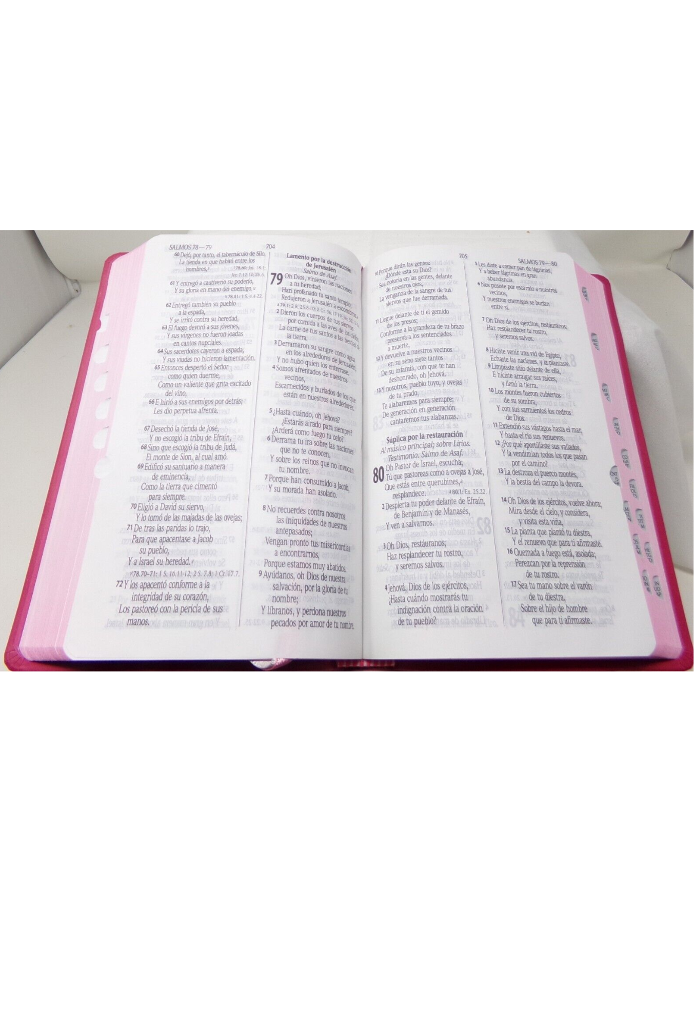 Biblia con Letra Grande Concordancia Amplia RVR1960, Tamaño Manual Imitación Piel, Fucsia con Indice