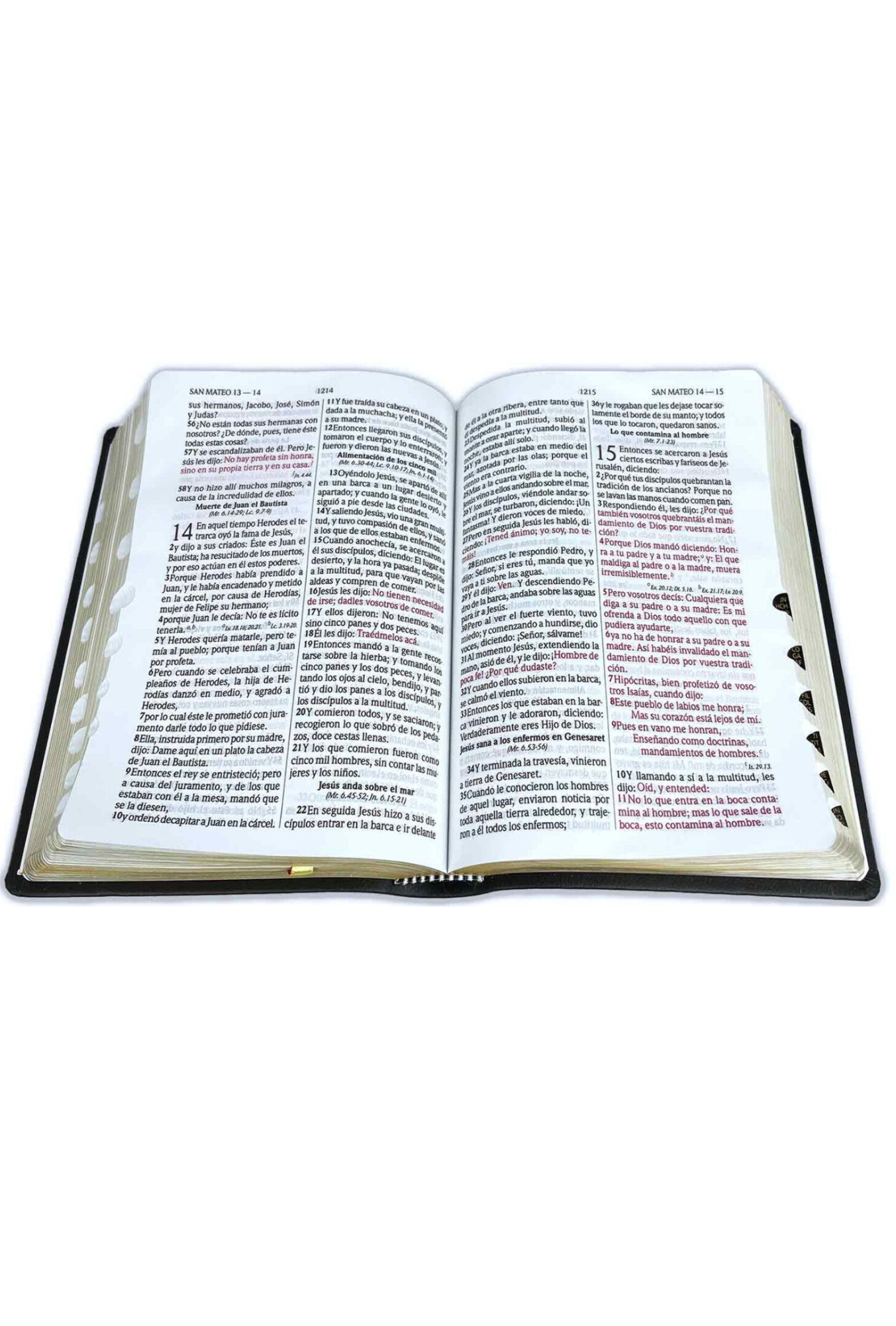 Biblia RVR60 – Concordancia Amplia, Letra Grande, Palabras de Jesús en Rojo, Indice, Tapa Negra y Canto Dorado