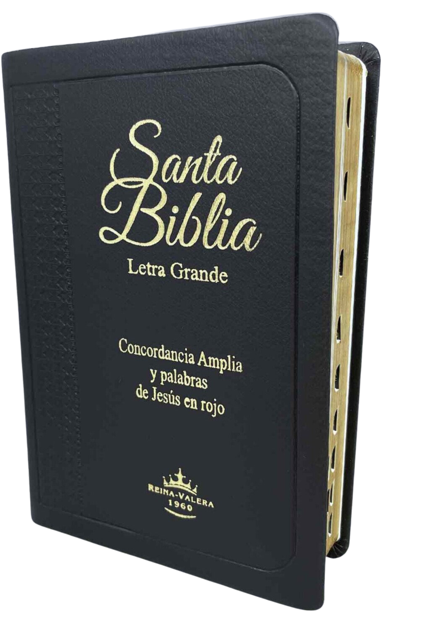 Biblia RVR60 – Concordancia Amplia, Letra Grande, Palabras de Jesús en Rojo, Indice, Tapa Negra y Canto Dorado