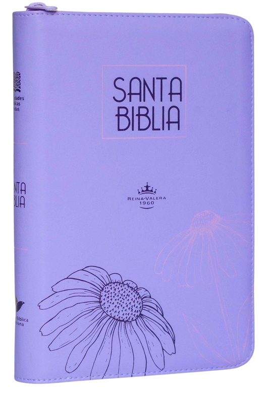 Biblia Lila Letra Grande Cierre RVR 1960