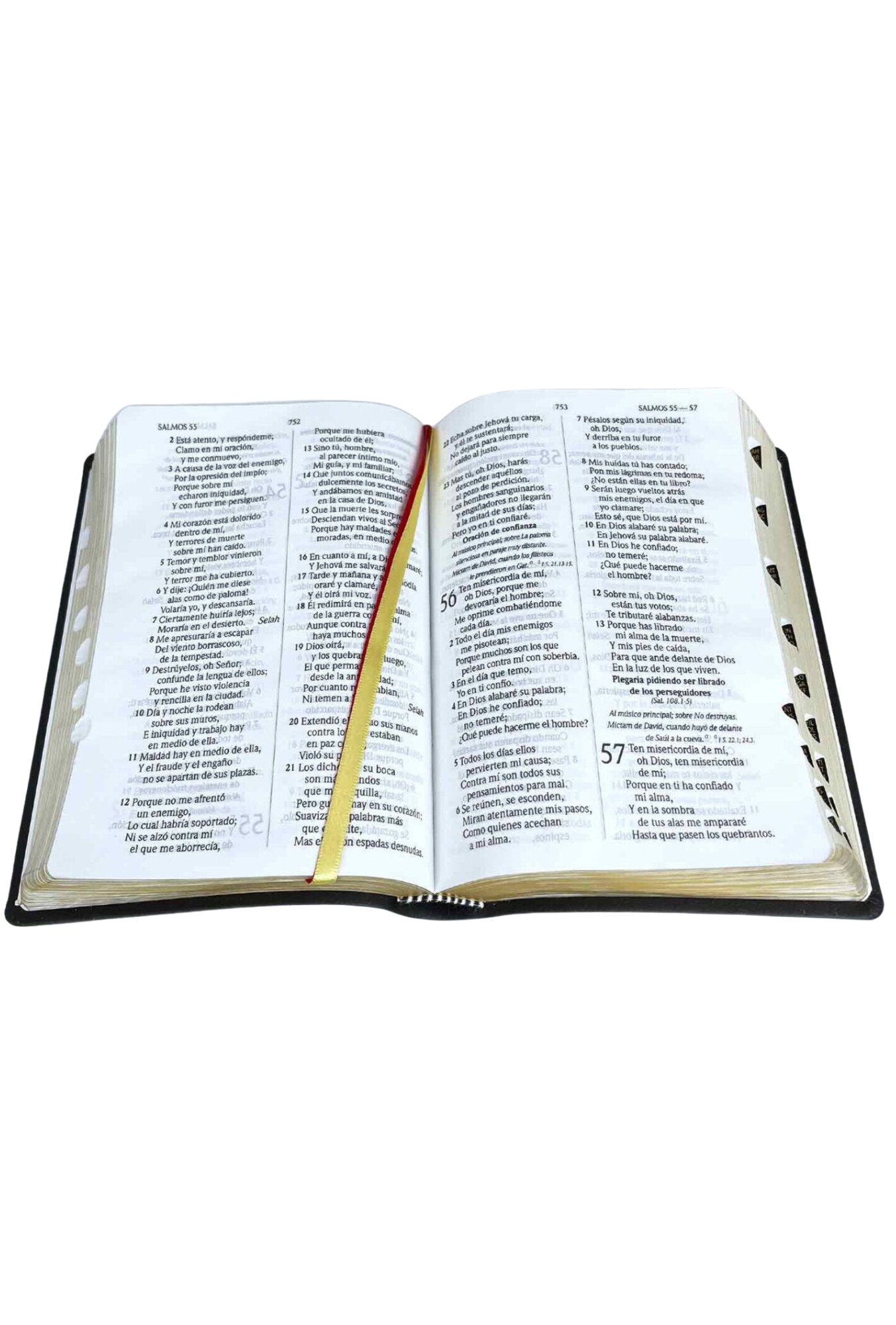 Biblia RVR60 – Concordancia Amplia, Letra Grande, Palabras de Jesús en Rojo, Indice, Tapa Negra y Canto Dorado