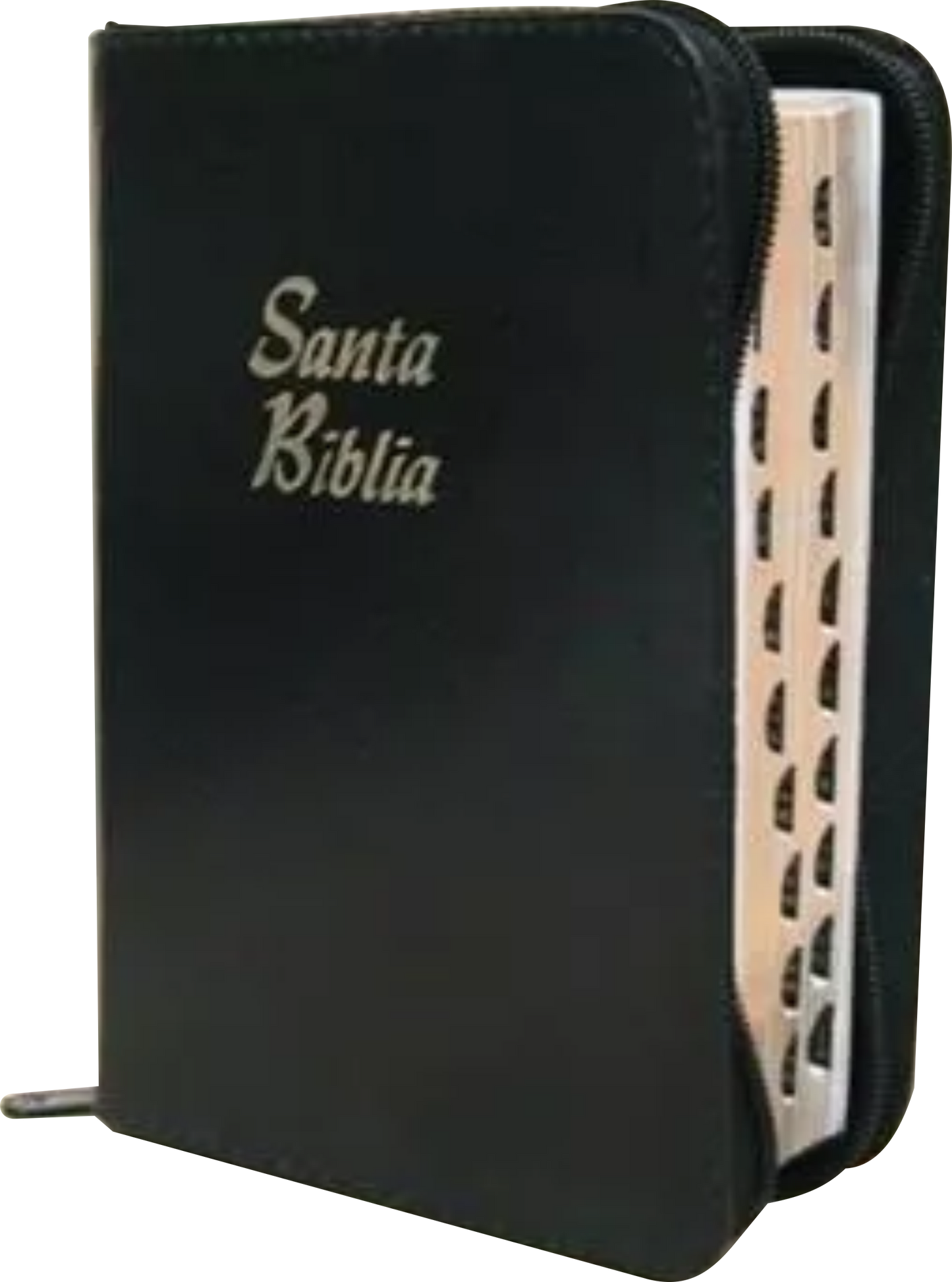 Biblia Letra Grande Concordancia Amplia RVR1960, Manual, con Cierre Tapa Acolchada Negro con Indice