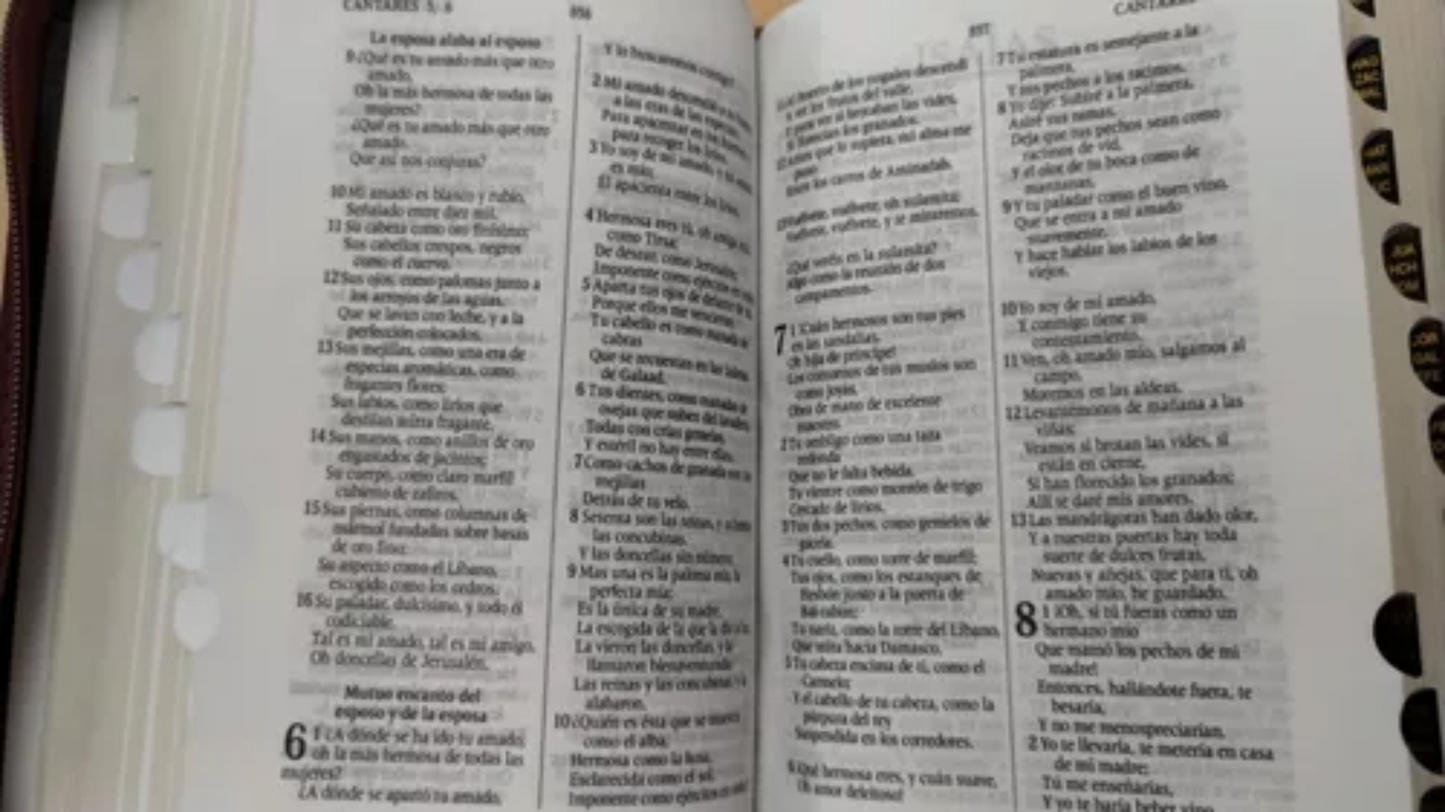 Biblia Letra Grande Concordancia Amplia RVR1960, Manual, con Cierre Tapa Acolchada Negro con Indice