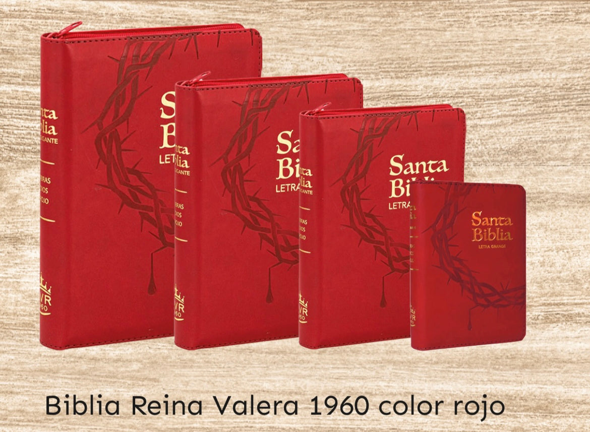 Santa Bíblia RVR 1960 de Bolsillo Color Rojo Con Concordancia, Letra Grande 9 Pts Y Zipper