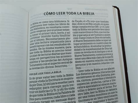 Biblia RVR60 Letra Gigante con Referencias vino imitación piel