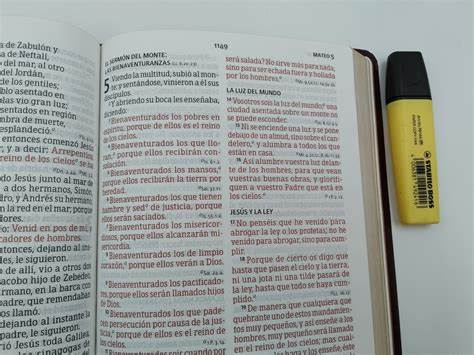 Biblia RVR60 Letra Gigante con Referencias vino imitación piel