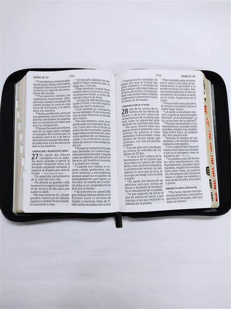 Biblia RVR 1960 Letra Gigante Negra, tamaño manual con referencias