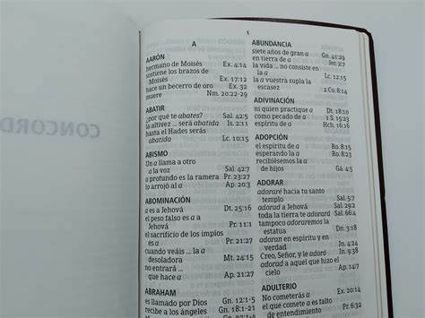 Biblia RVR60 Letra Gigante con Referencias vino imitación piel