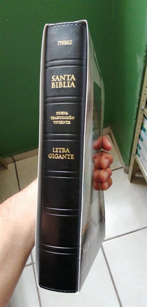 Santa Biblia NTV, Edición clásica, letra gigante