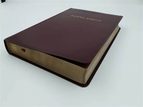 Biblia RVR60 Letra Gigante con Referencias vino imitación piel