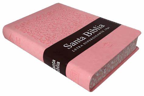 Biblia Letra Supergigante 19 puntos: RVR1960, imit. piel rosa duotone con índice