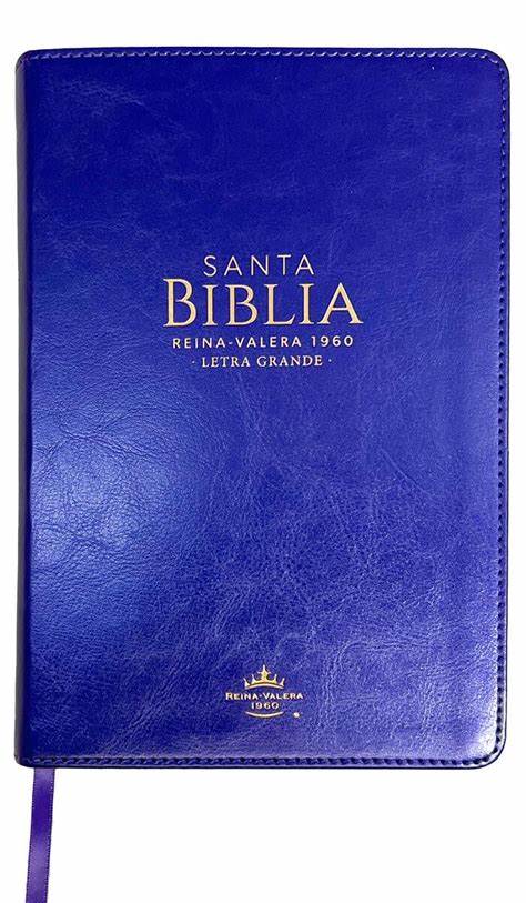 Biblia Letra Grande 12 puntos para Mujer RV1960 imit piel lila con índice